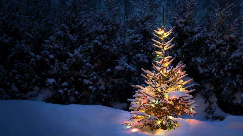holiday-pic-for-website